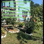 Prenociste Sara 아파트
